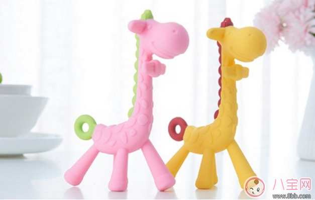 寶寶磨牙玩具怎么選 寶寶磨牙玩具有哪些 寶寶磨牙玩具怎么選 寶寶磨牙玩具有哪些