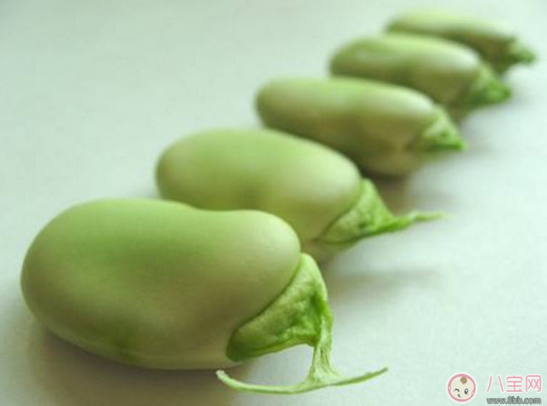 寶寶蠶豆病用藥禁忌有哪些 蠶豆病是什么病