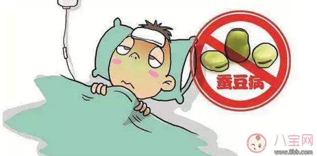 蠶豆病的遺傳規(guī)律是什么 蠶豆病母親傳給兒子父親傳給女兒