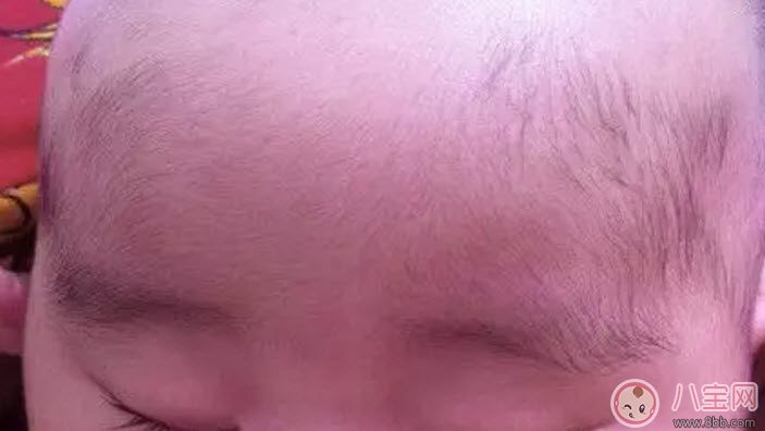 寶寶胎毛什么時(shí)候掉 寶寶胎發(fā)什么時(shí)候剃 寶寶胎毛什么時(shí)候掉 寶寶胎發(fā)什么時(shí)候剃
