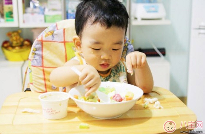 寶寶飲食規(guī)律習(xí)慣 寶寶飲食安排