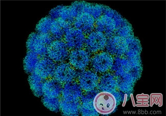 2017腸病毒高發(fā)期 這樣做躲過易發(fā)病