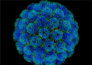 2017腸病毒高發(fā)期 這樣做躲過易發(fā)病