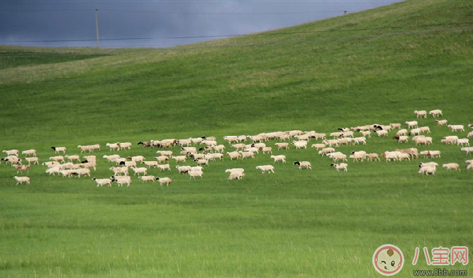 田亮森碟現(xiàn)身機(jī)場出行游玩 一家人出行需要準(zhǔn)備什么