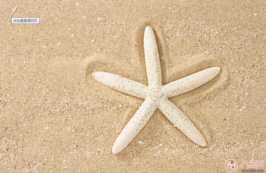 楊冪爸爸曬和小酒窩在沙灘玩耍 和寶寶在沙灘玩耍需要注意些什么 楊冪爸爸曬和小酒窩在沙灘玩耍 和寶寶在沙灘玩耍需要注意些什么