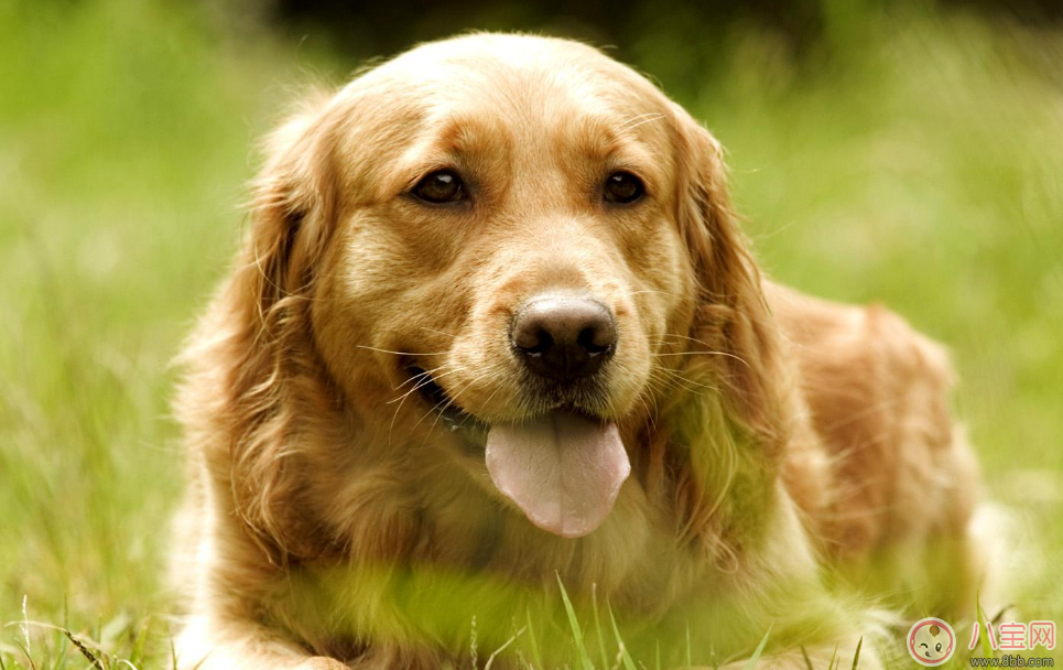 孩子自卑沒自信怎么辦 孩子沒自信如何幫他克服 孩子自卑沒自信怎么辦 孩子沒自信如何幫他克服