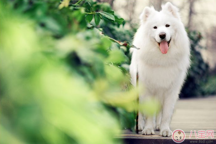 孩子自卑沒自信怎么辦 孩子沒自信如何幫他克服 孩子自卑沒自信怎么辦 孩子沒自信如何幫他克服