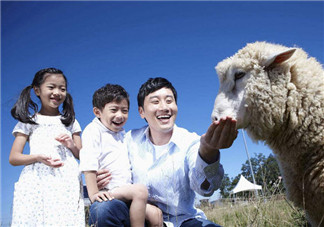 適合爸爸讀的胎教故事 準爸爸胎教的方式有哪些