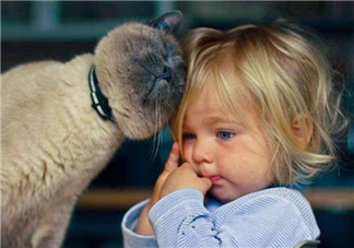 寶寶是熊孩子怎么辦？如何教育孩子不要妨礙他人呢？