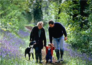 趙薇如何教育出乖巧小四月？趙薇的育兒經(jīng)是什么？