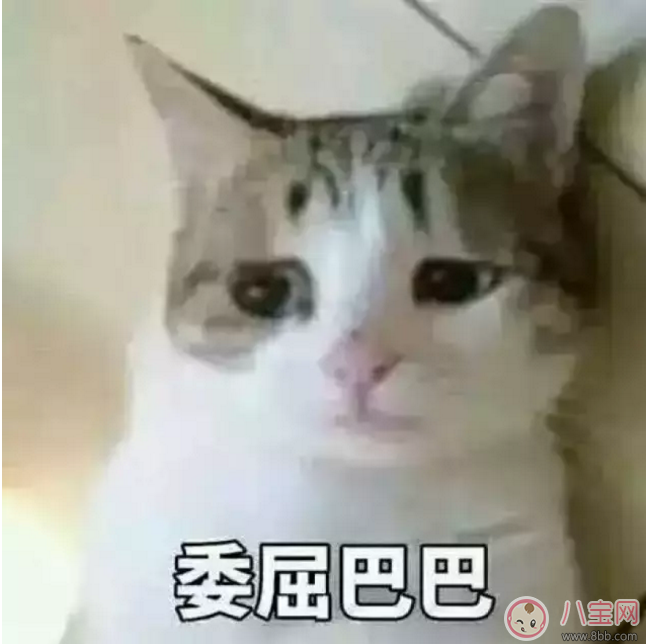 半數(shù)孩子不會(huì)剝殼 如何鍛煉孩子的自理能力 半數(shù)孩子不會(huì)剝殼 如何鍛煉孩子的自理能力