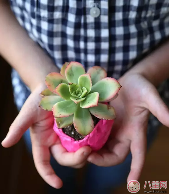 外面下雨了孩子不能出去玩 試試做這些事情吧 外面下雨了孩子不能出去玩 試試做這些事情吧