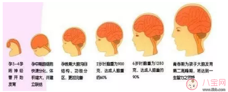 寶寶看電視的影響 如何規(guī)定寶寶看電視的時機 寶寶看電視的影響 如何規(guī)定寶寶看電視的時機