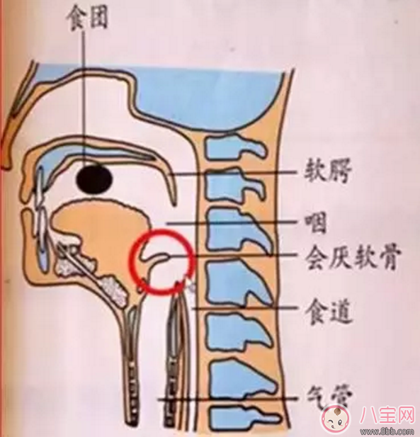 寶寶吃飯時爸爸的這個舉動 險些讓他送命！