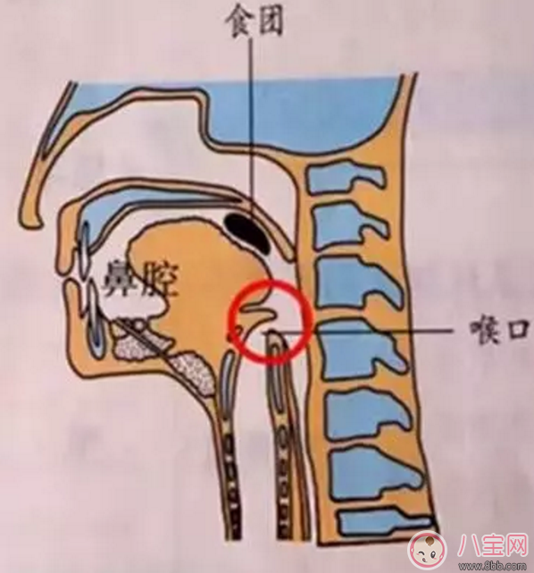 寶寶吃飯時爸爸的這個舉動 險些讓他送命！