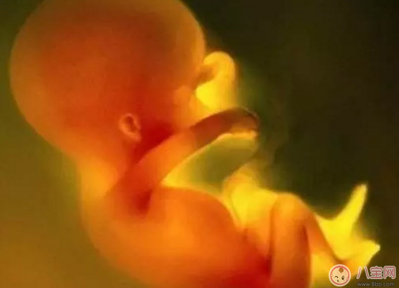 寶寶真的有胎前記憶嗎 孩子的胎前記憶怎么被喚醒 寶寶真的有胎前記憶嗎 孩子的胎前記憶怎么被喚醒