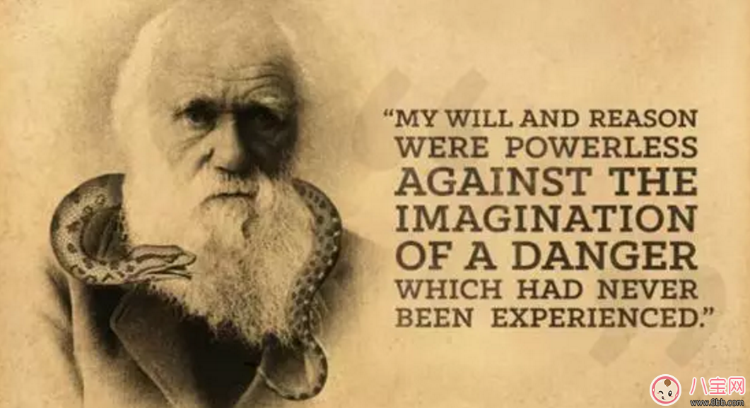 2017七夕節(jié)文藝匯演寶寶怯場原因 2017七夕節(jié)文藝匯演寶寶怯場原因