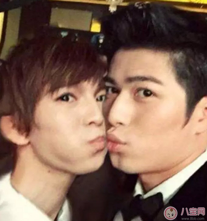 金絲雀是什么梗 郭敬明的金絲雀是誰(金絲雀事件關(guān)系梳理) 金絲雀是什么梗 郭敬明的金絲雀是誰(金絲雀事件關(guān)系梳理)