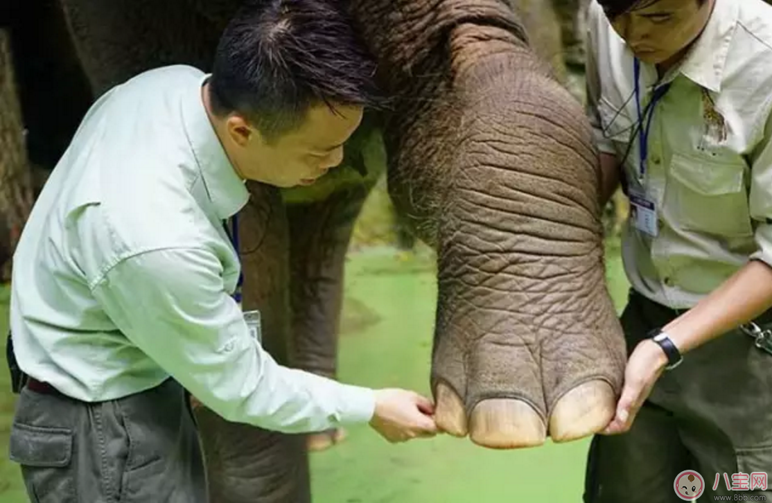 2017七夕節(jié)全家出游  看看長(zhǎng)隆親子攻略