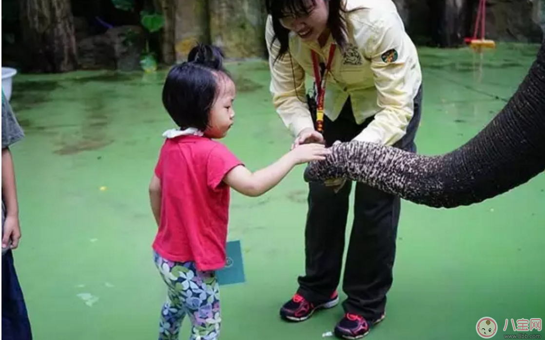 2017七夕節(jié)全家出游  看看長(zhǎng)隆親子攻略