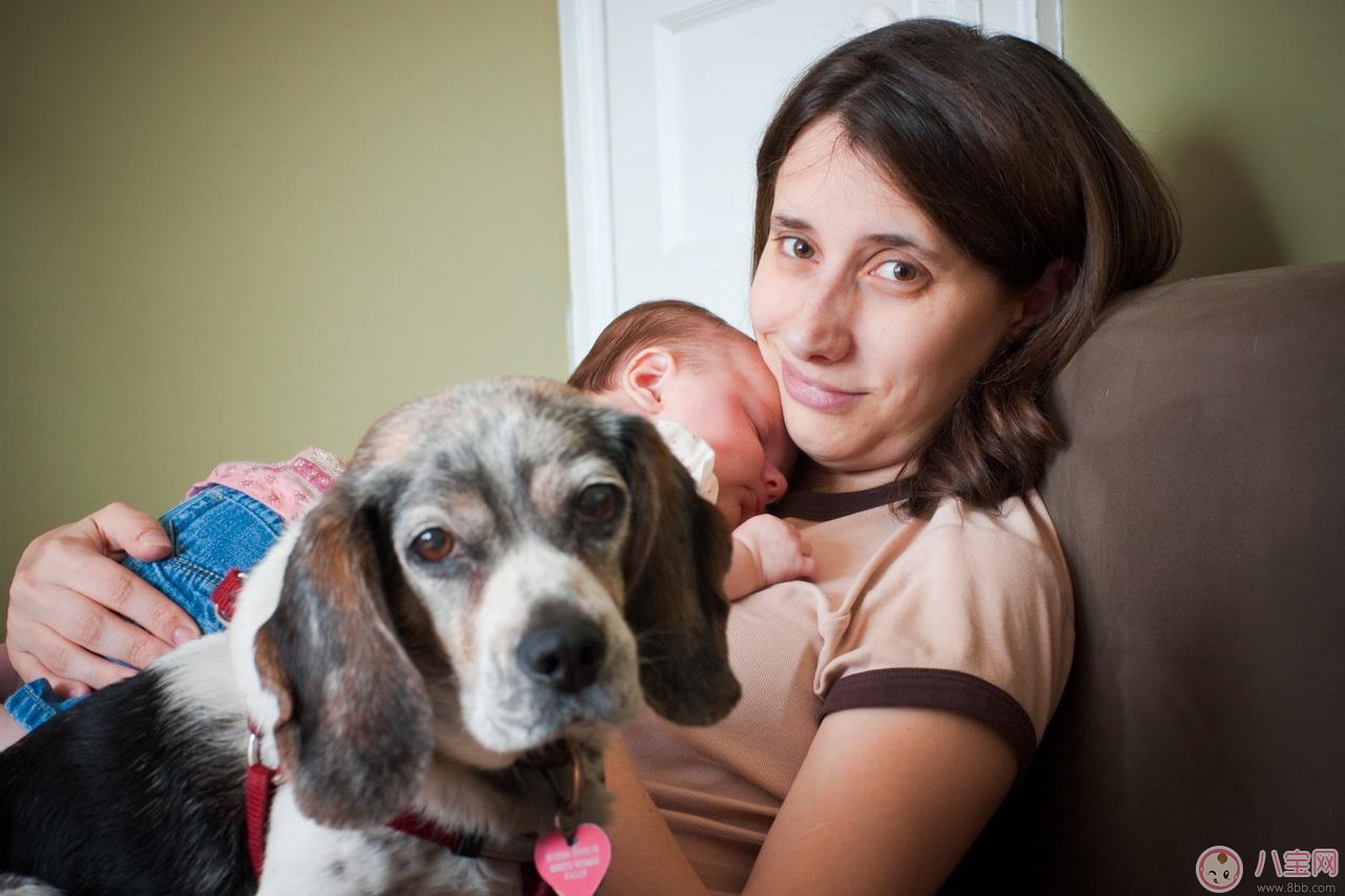 《放開我北鼻》Jackson性格  正確看待孩子的嫉妒