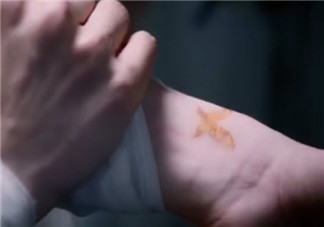 醉玲瓏卿塵是誰的的女兒 醉玲瓏鳳卿塵刺青怎么來的