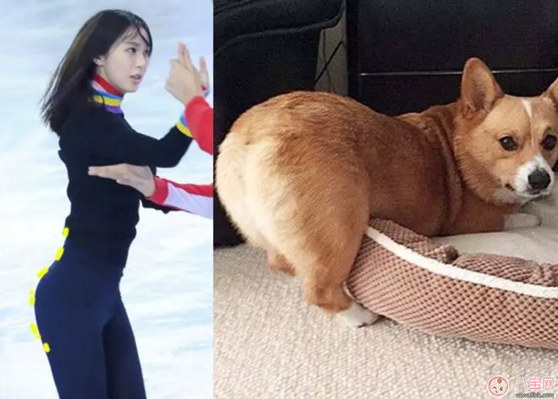 李菲兒柯基臀成最新身材標(biāo)準(zhǔn) 如何擁有柯基臀 李菲兒柯基臀成最新身材標(biāo)準(zhǔn) 如何擁有柯基臀