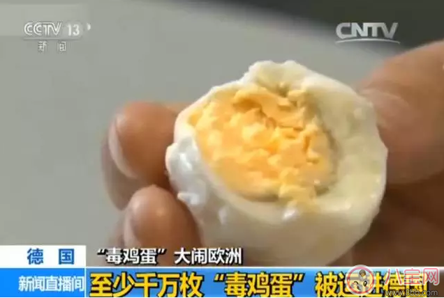 毒雞蛋對歐洲影響很大 中國的雞蛋還能吃嗎