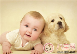 寶寶自閉癥怎么辦  如何讓自閉癥寶寶健康成長(zhǎng)