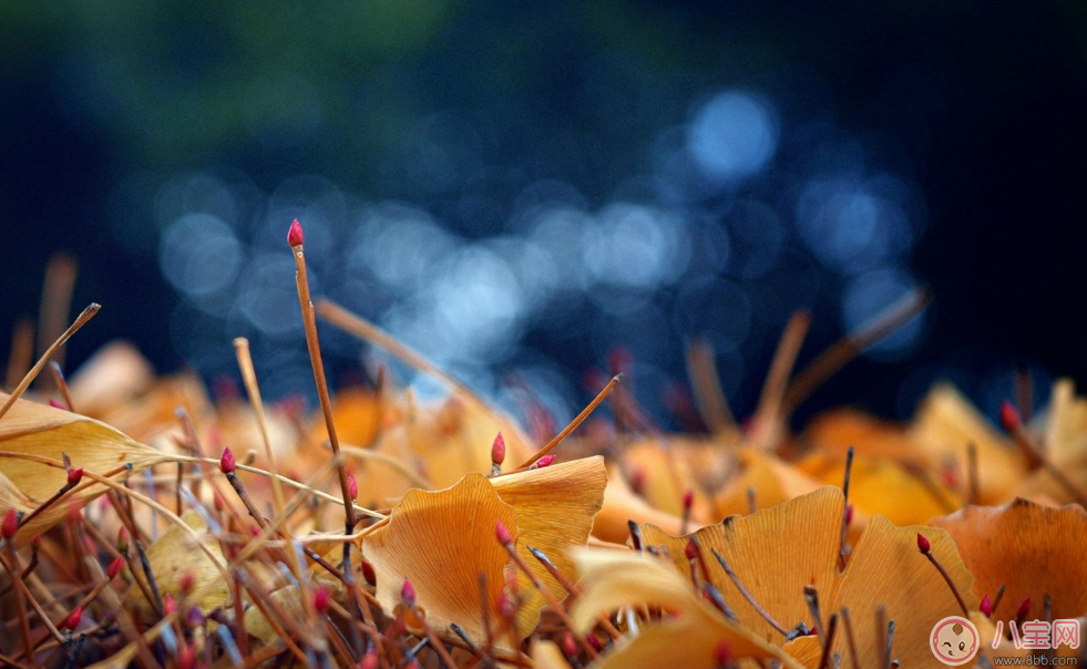 立秋來了為什么還是這么熱 我一定過了一個假的立秋 立秋來了為什么還是這么熱 我一定過了一個假的立秋