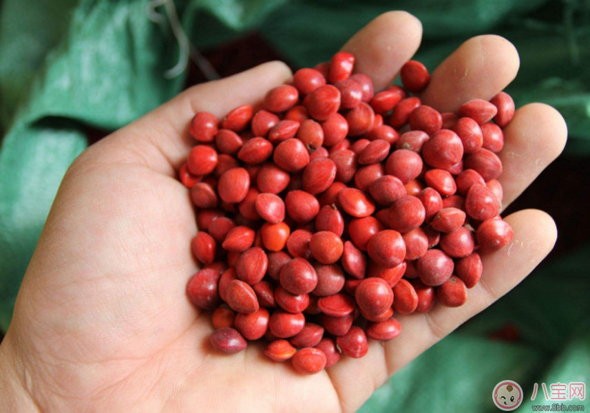 立秋來了為什么還是這么熱 我一定過了一個假的立秋 立秋來了為什么還是這么熱 我一定過了一個假的立秋