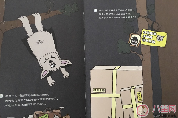 交朋友故事：小蝙蝠菲利烏斯