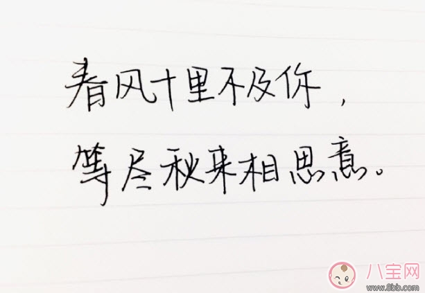 春風體是什么意思 春風十里不如你春風體挑戰(zhàn)