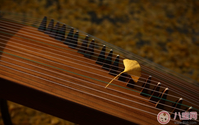 小孩子學什么樂器好 適合孩子學的樂器有哪些(孩子樂器啟蒙)