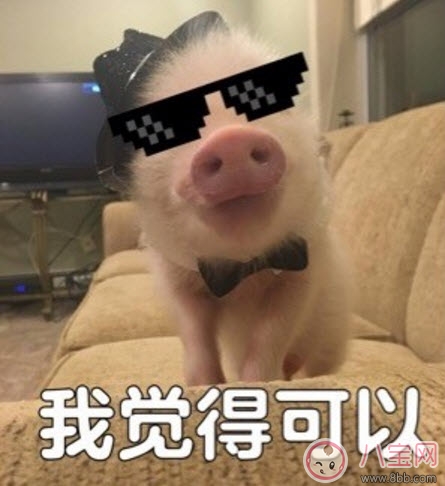 我覺得不行我覺得可以是什么梗 我覺得不行我覺得可以怎么火的