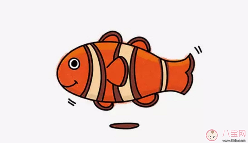 海洋生物趣味多 魚類簡筆畫