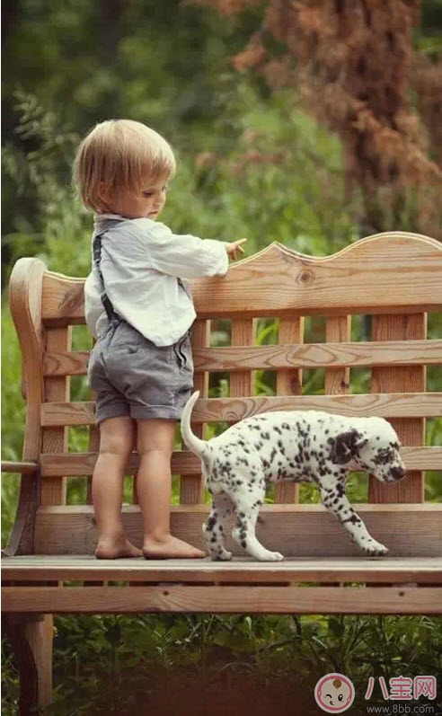 小寶寶拿狗盆里的狗食 夏季小寶寶如何與狗狗相處 小寶寶拿狗盆里的狗食 夏季小寶寶如何與狗狗相處