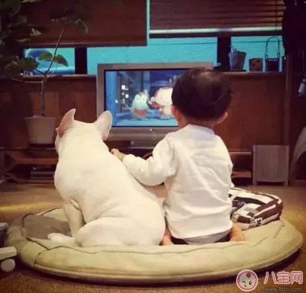 孩子看電視的壞處 孩子看電視上癮怎么辦 孩子看電視的壞處 孩子看電視上癮怎么辦