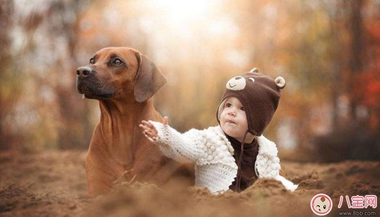 2017七夕節(jié)全家旅游出行 寶寶哭鬧怎么辦 2017七夕節(jié)全家旅游出行 寶寶哭鬧怎么辦