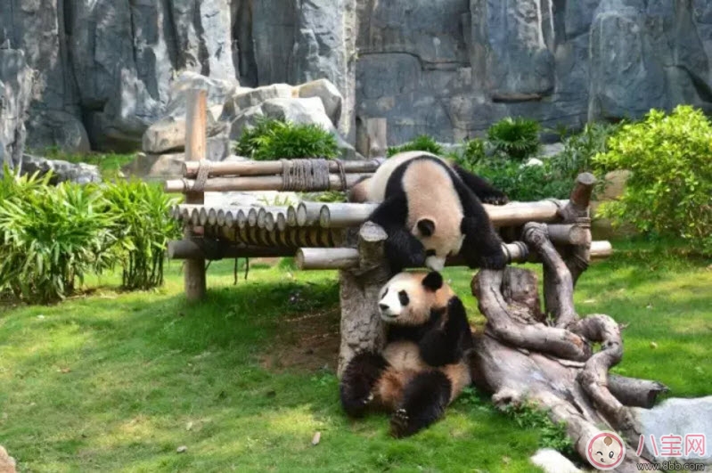 2017七夕節(jié)全家出游攻略 帶娃出行怎么做