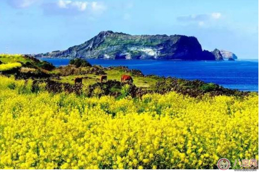 2017七夕節(jié)全家出游攻略 帶娃出行怎么做