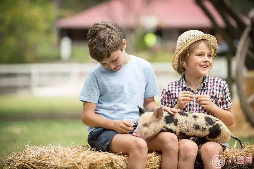 小學(xué)生2天上9個(gè)培訓(xùn)班 孩子暑假如何正確安排 小學(xué)生2天上9個(gè)培訓(xùn)班 孩子暑假如何正確安排