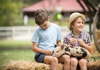 小學生2天上9個培訓班 孩子暑假如何正確安排
