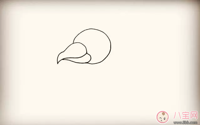 寶寶簡筆畫  簡單畫出大公雞