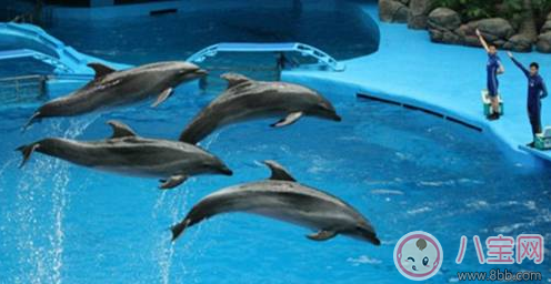 親子游去哪避暑比較好 武漢最佳避暑游玩推薦 親子游去哪避暑比較好 武漢最佳避暑游玩推薦