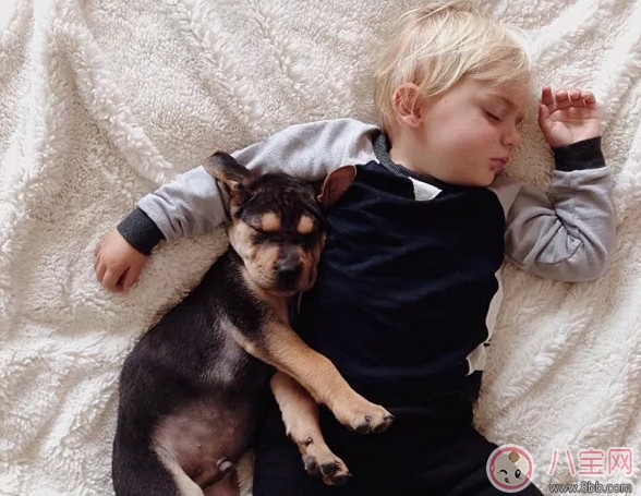 夏天寶寶要不要午睡 小孩夏天午睡好處(有助于幼兒語言發(fā)展)