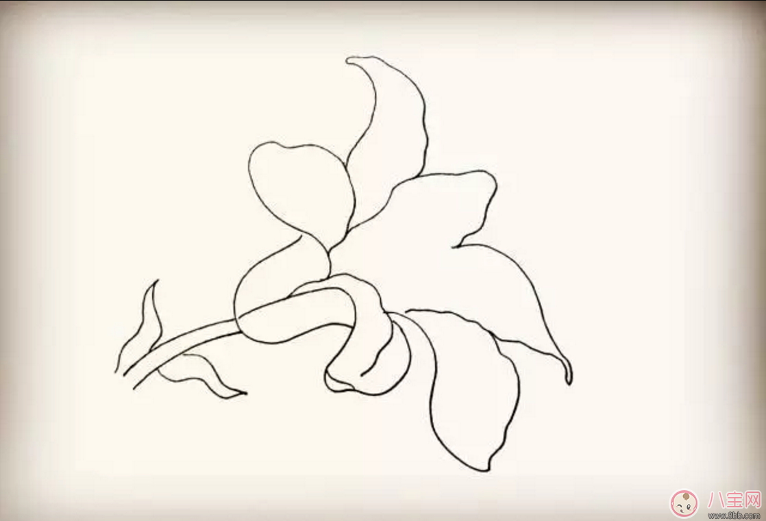 怎么教寶寶花百合花 百合花簡筆畫 怎么教寶寶花百合花 百合花簡筆畫