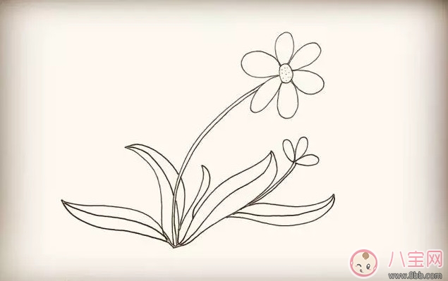 兒童簡筆畫太陽花 太陽花圖片簡筆畫步驟 兒童簡筆畫太陽花 太陽花圖片簡筆畫步驟