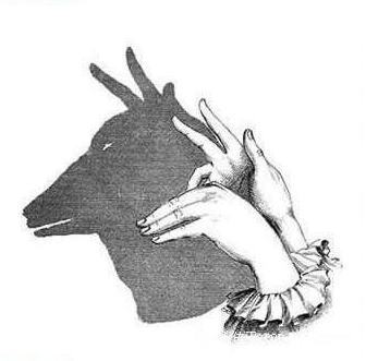 親子游戲手影玩法 有意思的手影推薦 親子游戲手影玩法 有意思的手影推薦