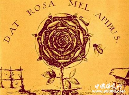 世界十大神秘組織是什么世界十大神秘組織資料介紹